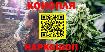 сатива Комсомольск-на-Амуре